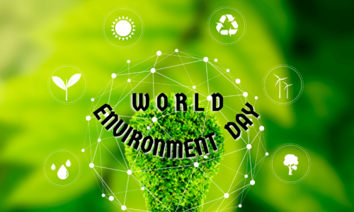 2.1.1 Environmental awareness and sustainable living