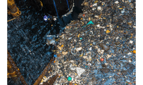 3.1.1 Environmental Challenges and their Impact on Migrants