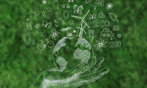 All professions will go green Green jobs and entrepreneurship